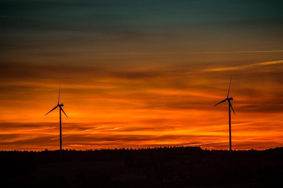 Renewable Energy 2021